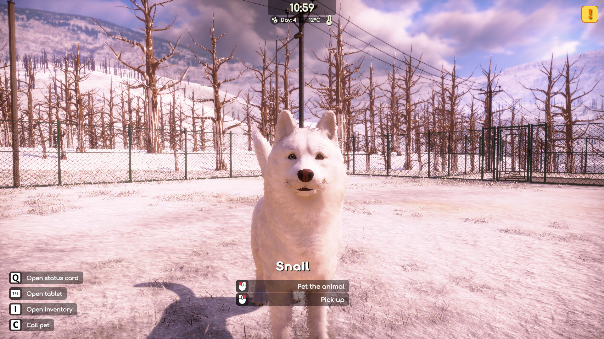 图片[16]-治愈新游《动物收容所 2》Steam80%特别好评 治愈动物模拟经营 救助流浪小动物 为它们找家-山海之花 - 宝藏星球屋