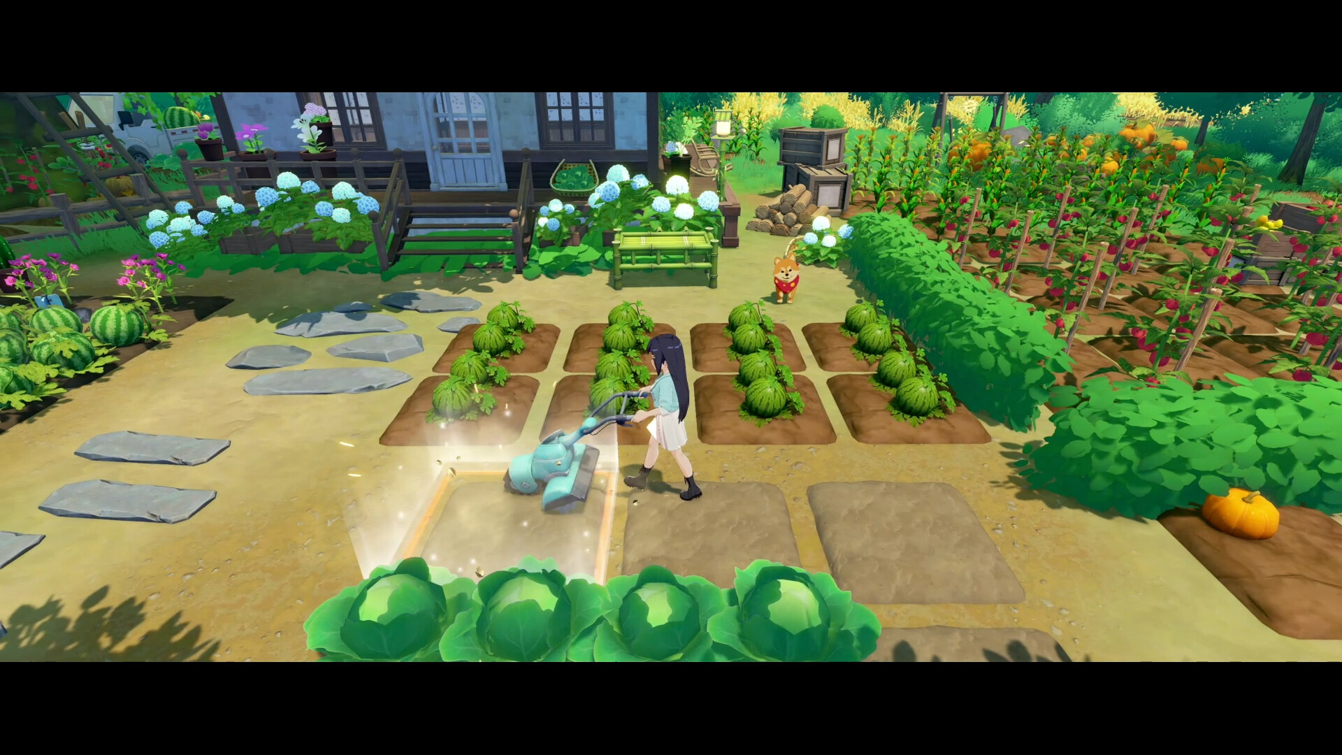 图片[14]-国产治愈海岛生活模拟《星砂岛》种田养宠社交恋爱 种田养宠社交恋爱 休闲玩家必玩新作-山海之花 - 宝藏星球屋