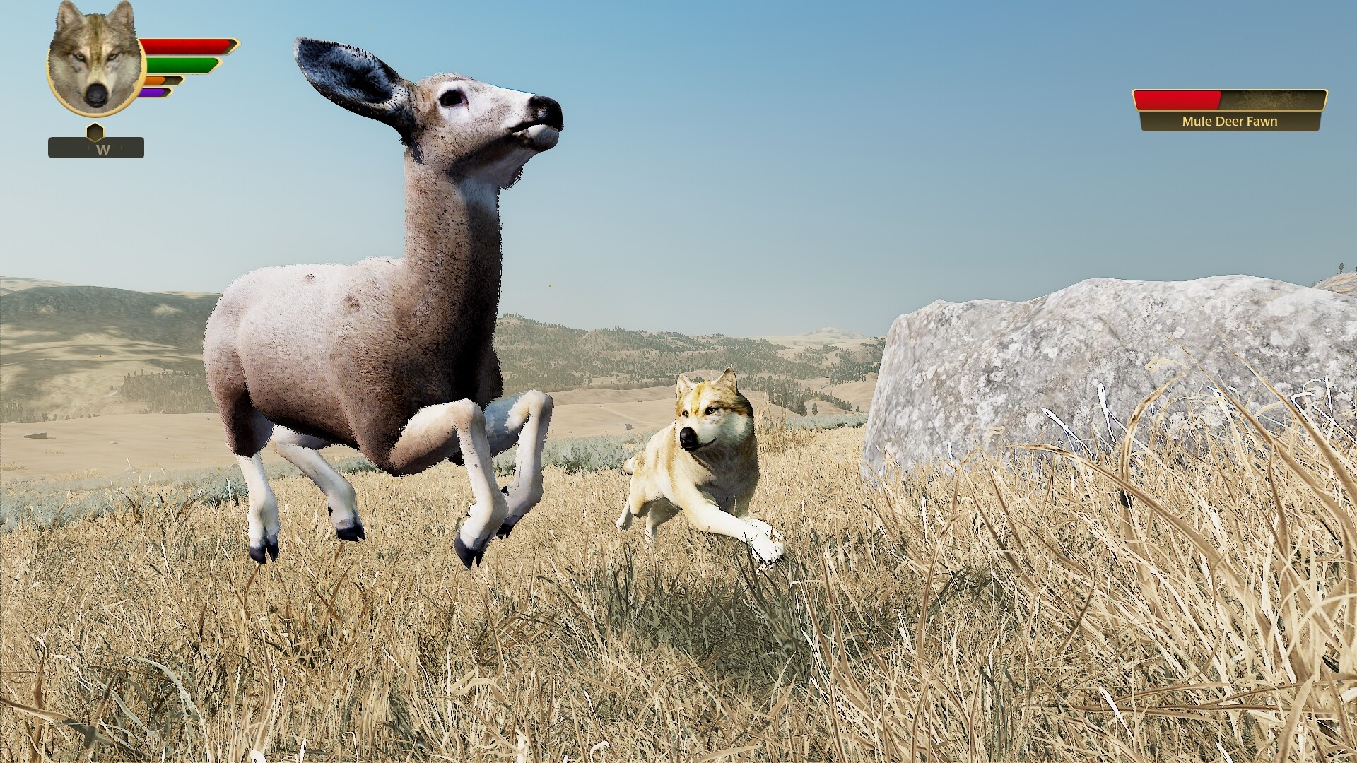 图片[12]-Steam《野狼谜踪》97% 好评 真实生态模拟狼的一生 生存模拟游戏-山海之花 - 宝藏星球屋